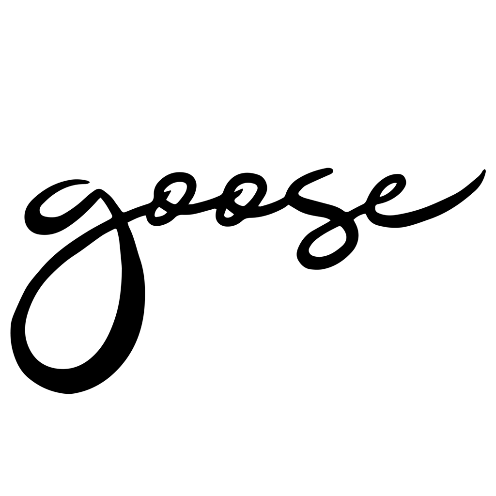Goose